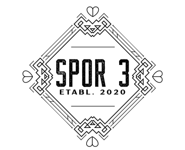 Spor 3